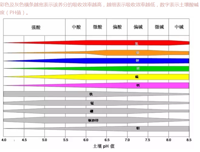 土壤酸碱度