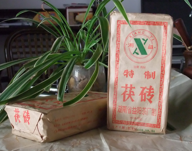 2006年 安化茯砖茶