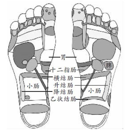 按摩足底调胃肠