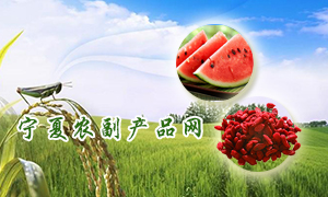 宁夏农副产品网